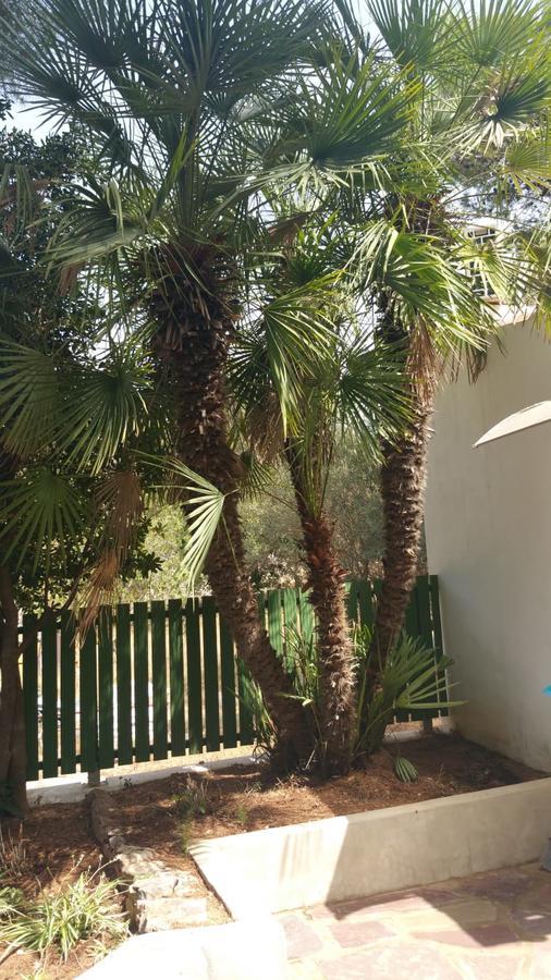 Villa Chabola Denia Exterior photo